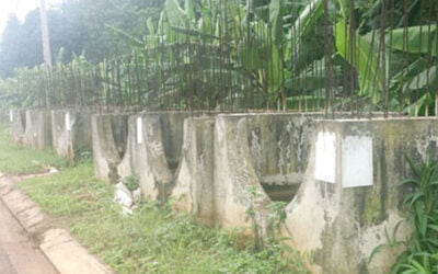 Đồng Nai: Hố ga… nuôi muỗi?