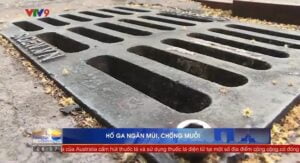Hố ga ngăn mùi chống muỗi SiGen với cơ chế hoạt động đơn giản và phát huy được tác dụng rõ ràng.