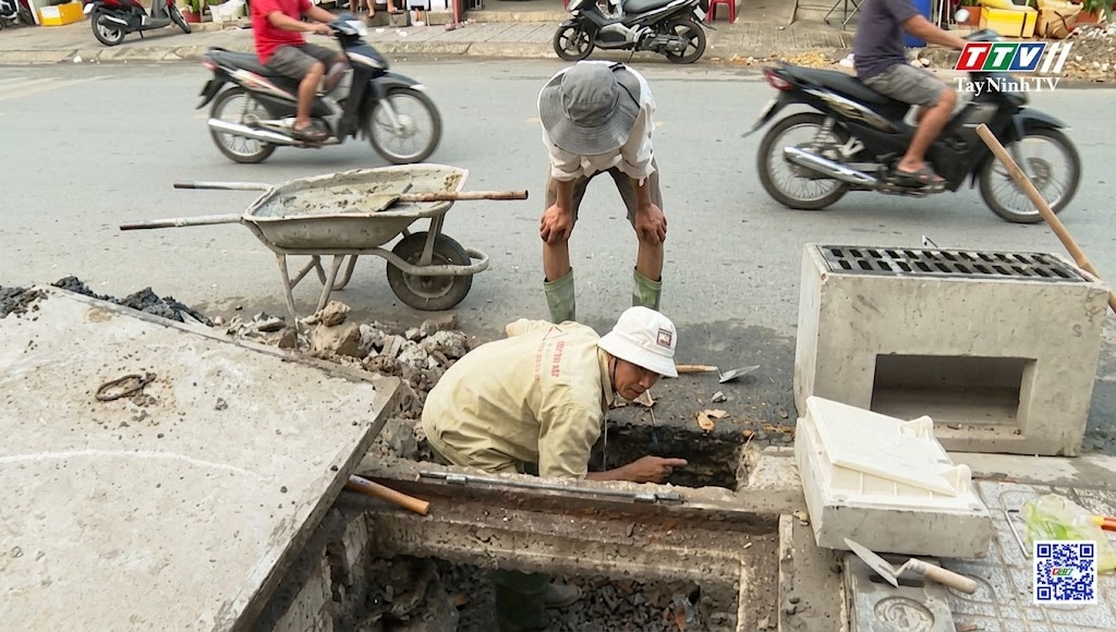 Kết quả đánh giá thử nghiệm hố ga thu nước ngăn mùi, chống muỗi SiGen tại Tây Ninh