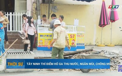 Tây Ninh chính thức thí điểm hệ thống hố ga thông minh SiGen: Ngăn mùi, chống muỗi và tối ưu thoát nước đô thị